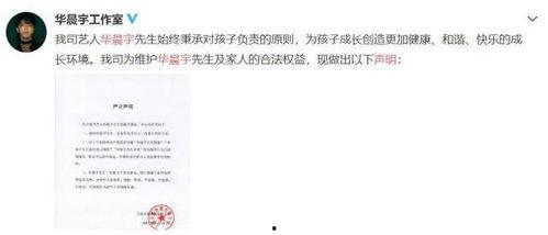 娱乐圈吃瓜作文,揭秘明星背后的故事