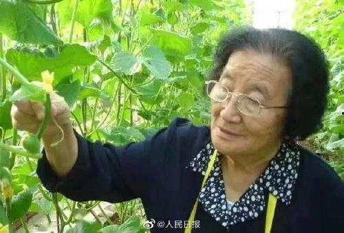 游戏发行人娱乐圈吃瓜,揭秘游戏发行人背后的神秘瓜界