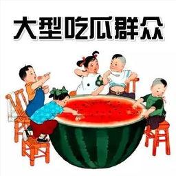 吃瓜娱乐交通规则,交通规则知识大盘点