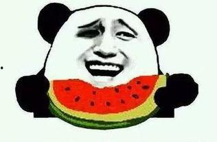 小弛娱乐吃瓜,揭秘娱乐圈最新吃瓜事件