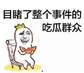 娱乐吃瓜酱谐音网名怎么取,揭秘网络谐音昵称背后的趣味与创意