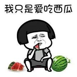 吃瓜娱乐圈的大番薯,番薯的瓜田奇遇记