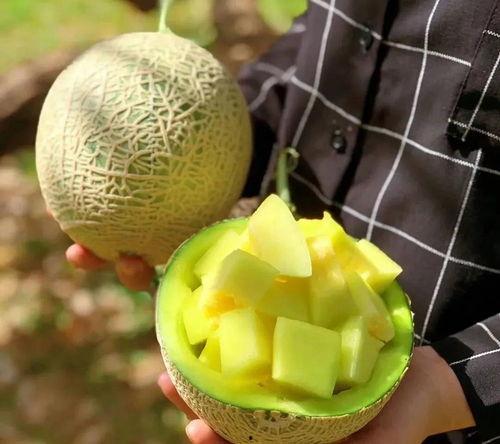 娱乐吃瓜最新瓜,神秘事件引发热议，真相即将揭晓！