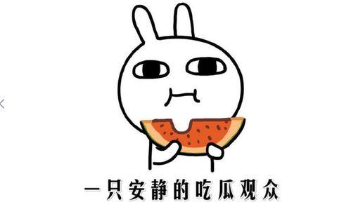 座等吃瓜是什么意思,揭秘网络流行语的趣味与内涵